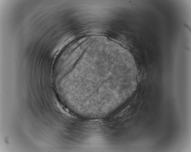 X0000098190050200805221527