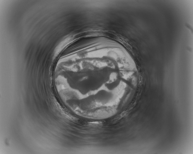 X0000098190053200805221527