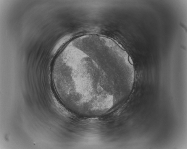 X0000098190054200805221527