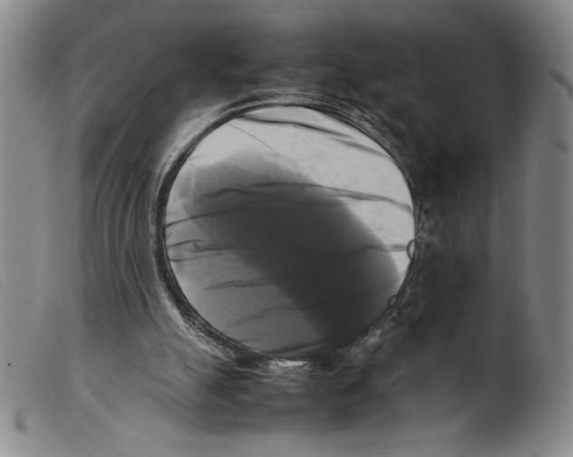 X0000098190055200805221527