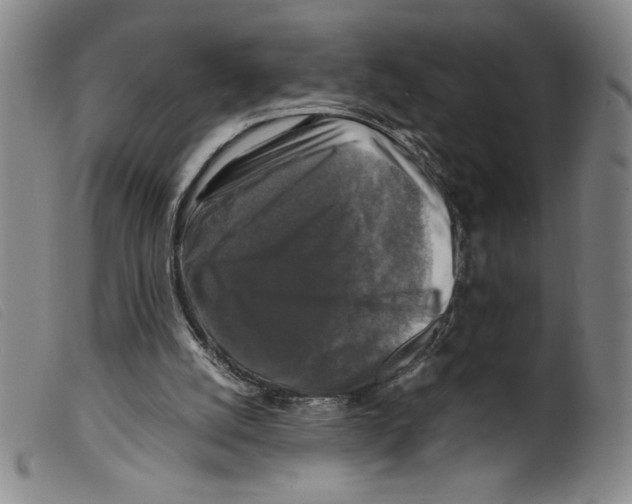X0000098190056200805221527