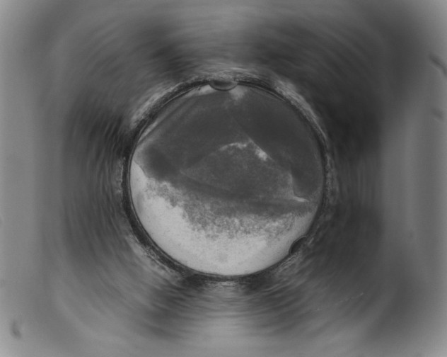 X0000098190058200805221527