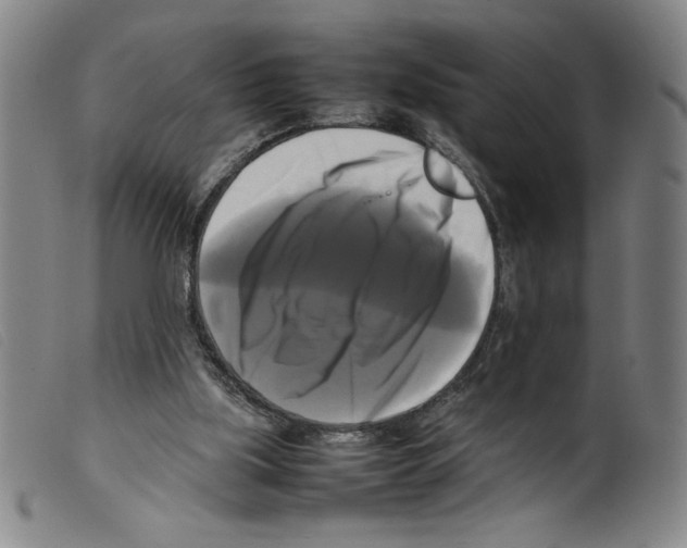 X0000098190059200805221527