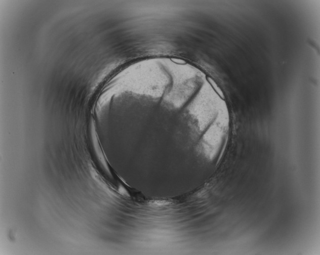 X0000098190060200805221527