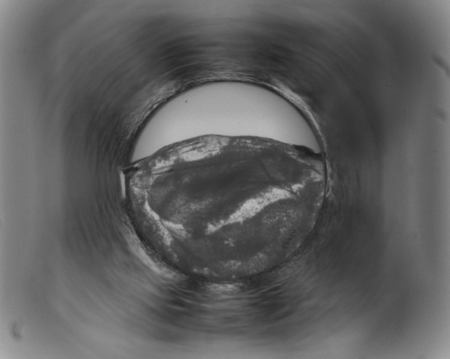 X0000098190061200805221527