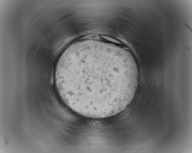 X0000098190062200805221528
