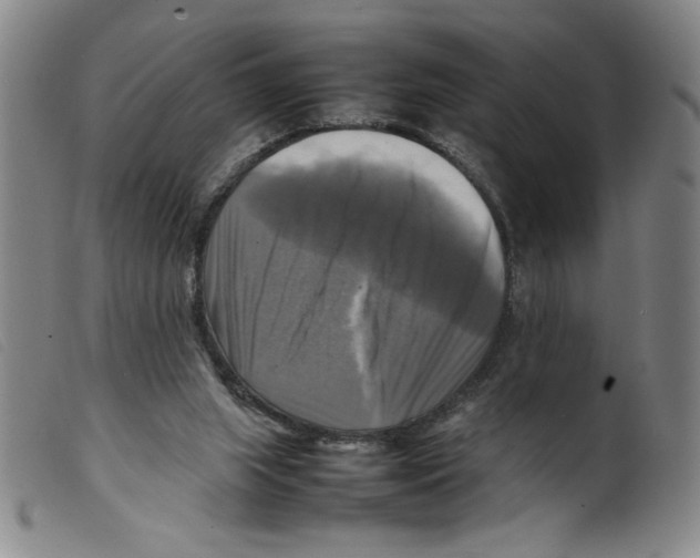 X0000098190063200805221528
