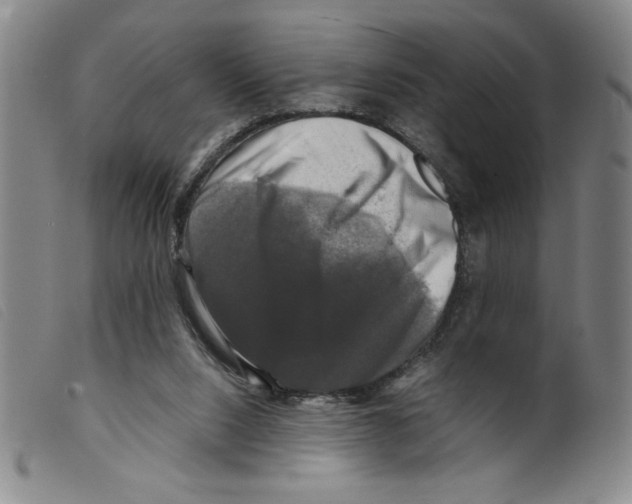 X0000098190064200805221528