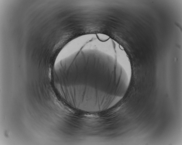 X0000098190067200805221528