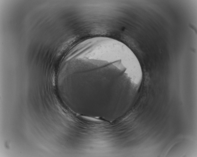 X0000098190068200805221528
