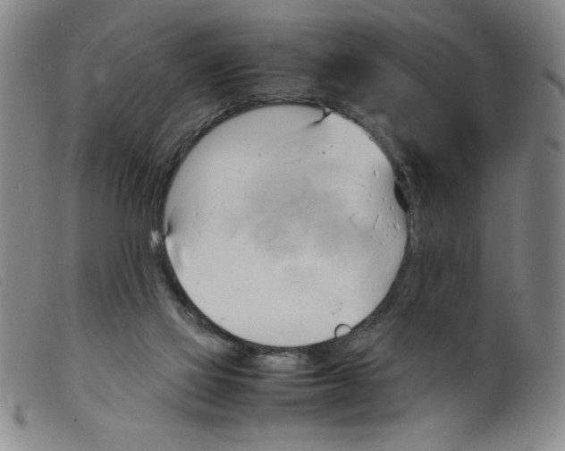 X0000098190069200805221528