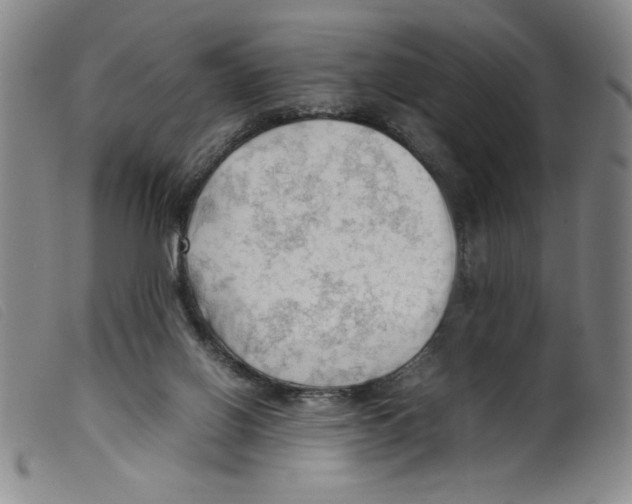 X0000098190070200805221528