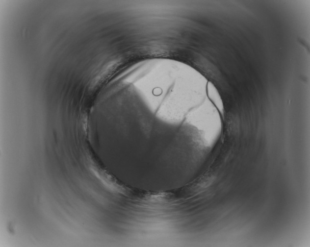 X0000098190072200805221528