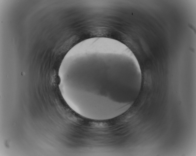 X0000098190073200805221528