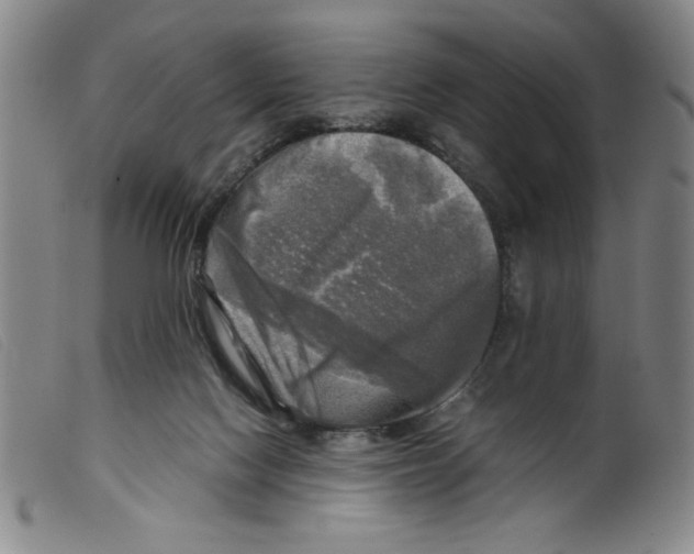 X0000098190074200805221528