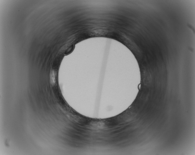 X0000098190075200805221528