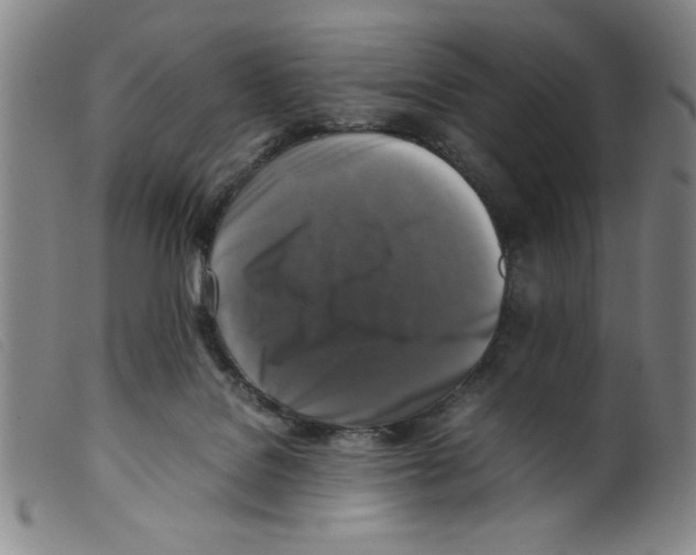X0000098190076200805221528