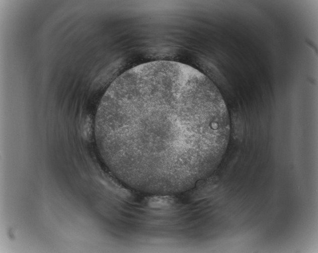 X0000098190077200805221528