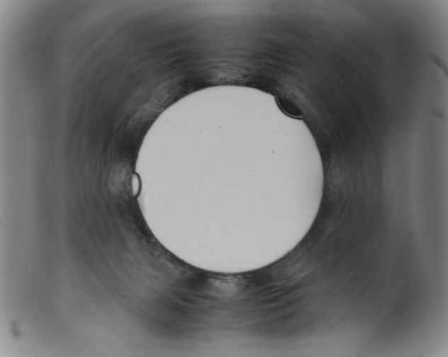 X0000098190079200805221528