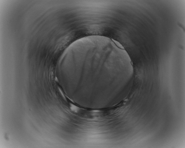 X0000098190080200805221528