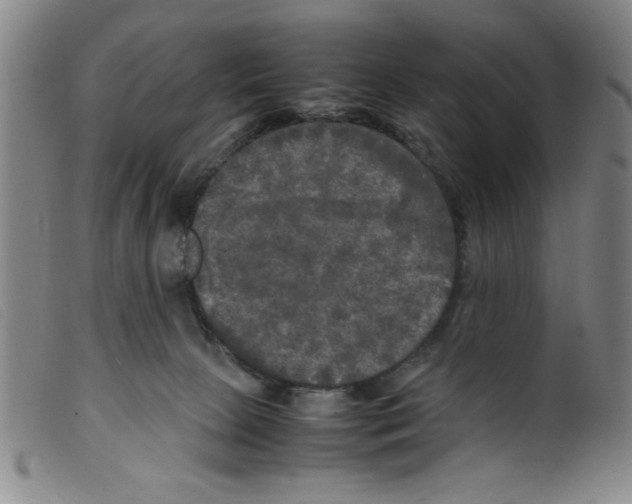 X0000098190081200805221528