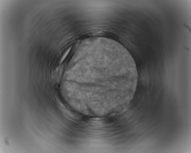 X0000098190082200805221528
