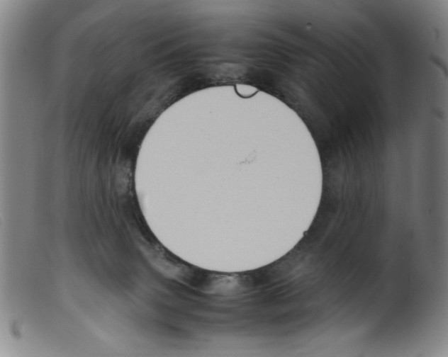 X0000098190083200805221528