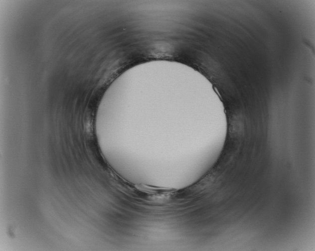 X0000098190084200805221528