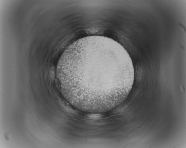 X0000098190085200805221528