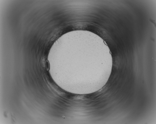 X0000098190086200805221528