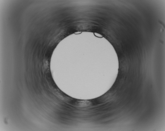 X0000098190087200805221528