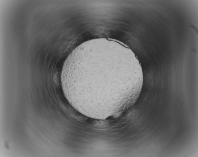 X0000098190088200805221528