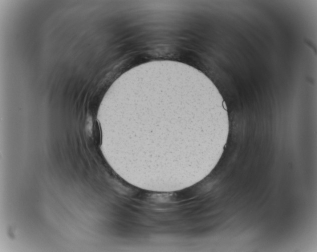 X0000098190089200805221528