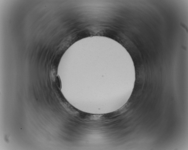 X0000098190090200805221528