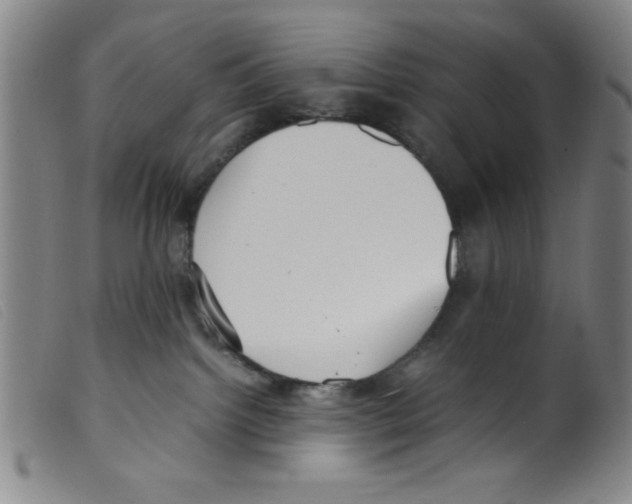 X0000098190092200805221528