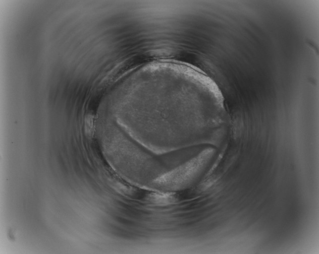 X0000098190093200805221528
