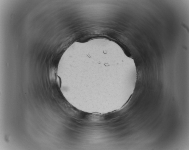 X0000098190094200805221528
