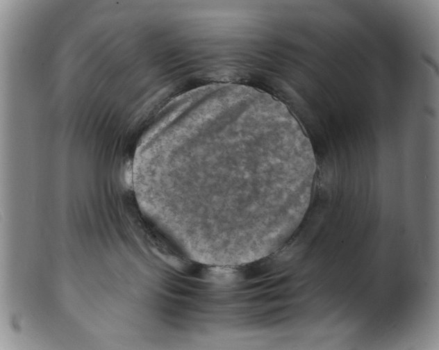 X0000098190095200805221528
