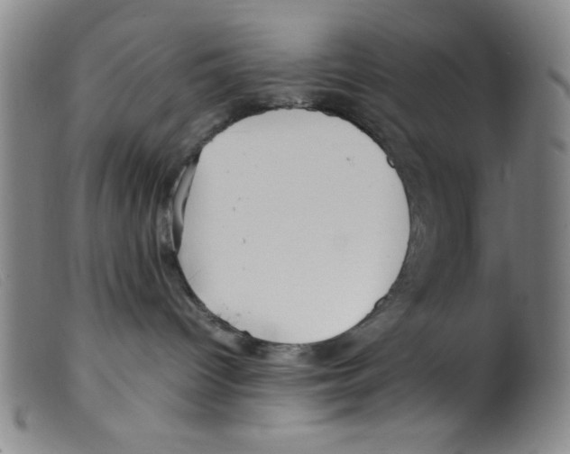 X0000098190096200805221528