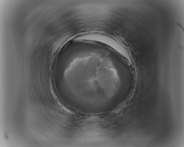 X0000098190097200805221527
