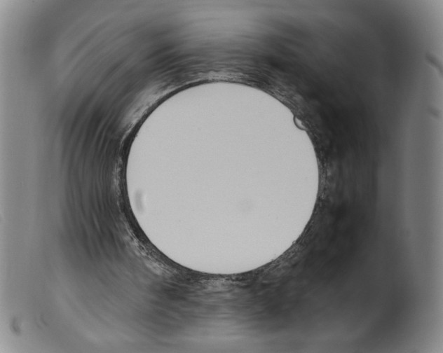 X0000098190098200805221527