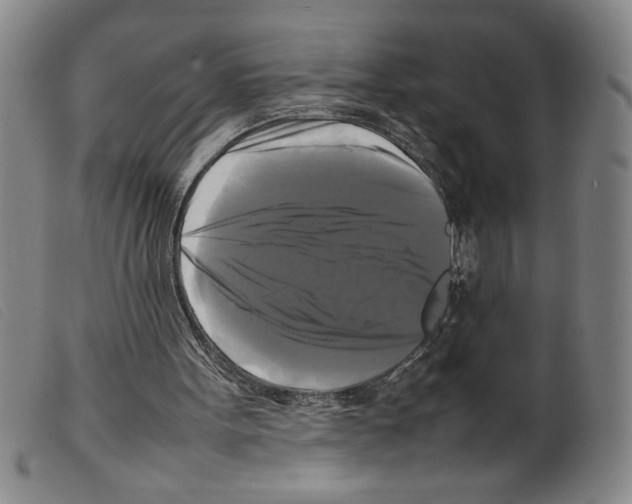 X0000098190099200805221527