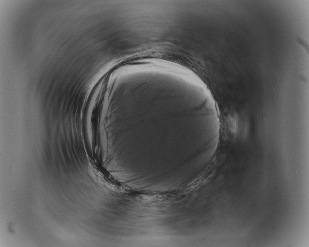X0000098190100200805221527