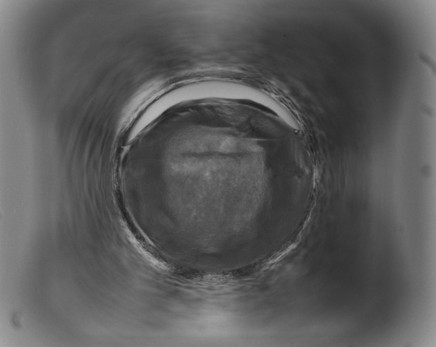 X0000098190101200805221527