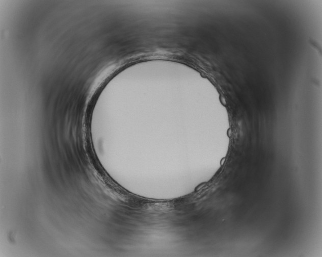 X0000098190102200805221527