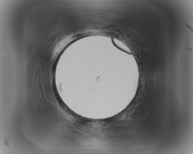 X0000098190103200805221527