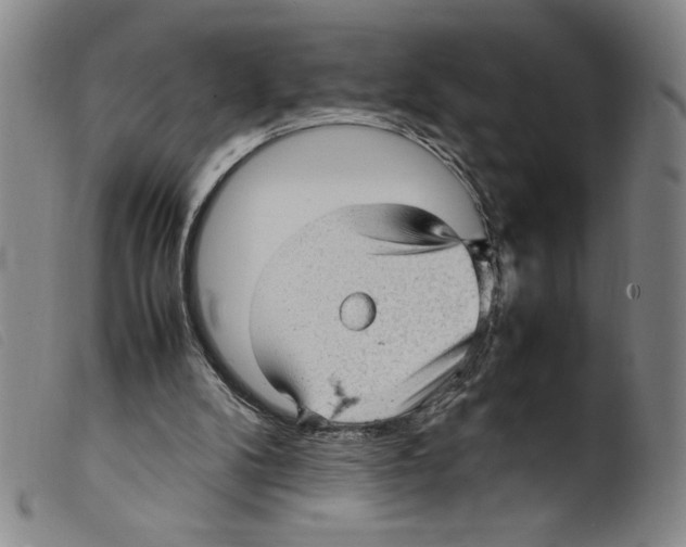 X0000098190104200805221527