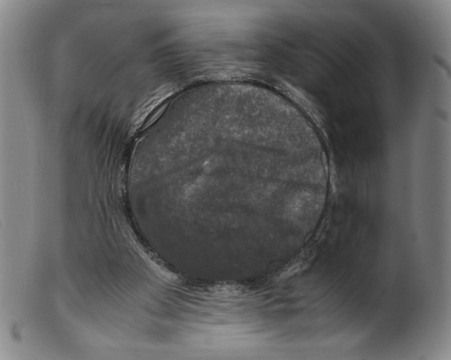 X0000098190105200805221527