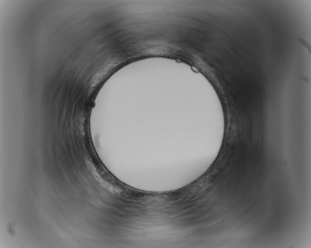 X0000098190106200805221527