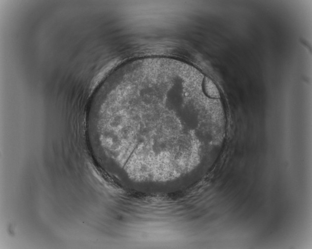 X0000098190107200805221527
